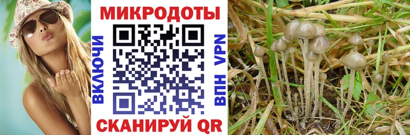 Галлюциногенные грибы Magic Shrooms  магазин продажи   Энгельс 