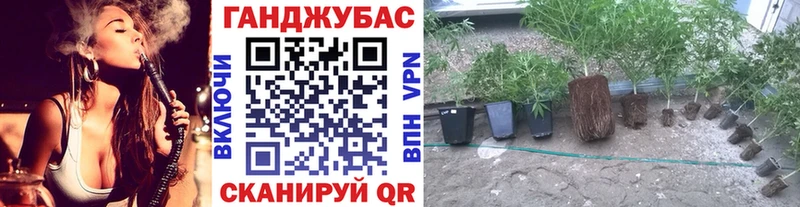 Шишки марихуана семена  blacksprut маркетплейс  Энгельс 